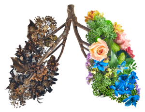 laser quit smoking toronto