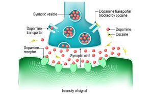 How to Detect and Treat Cocaine Addiction