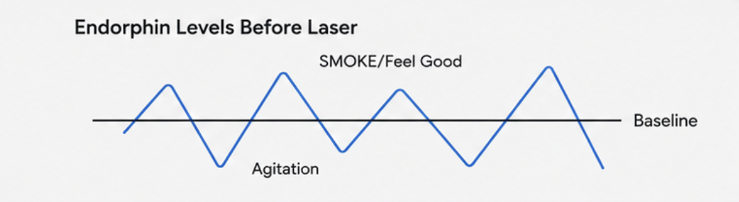 Screenshot 2026 09 17 at 2.55.42 PM NULIFE Laser Clinic